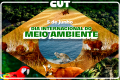 Dia do Meio Ambiente foca na COP30 e na resistência ao PL da Devastação