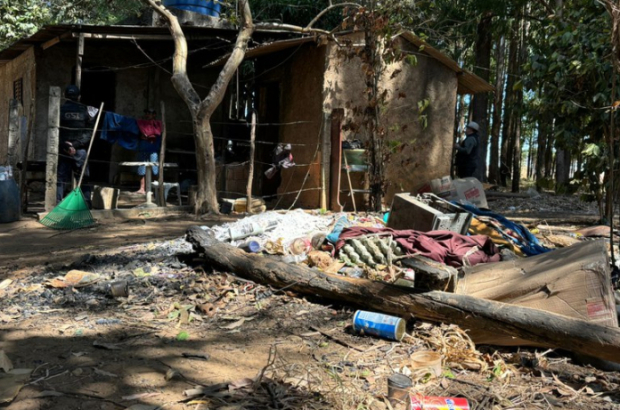 Trabalho escravo: só 4% dos réus recebem penas sobre todos os crimes